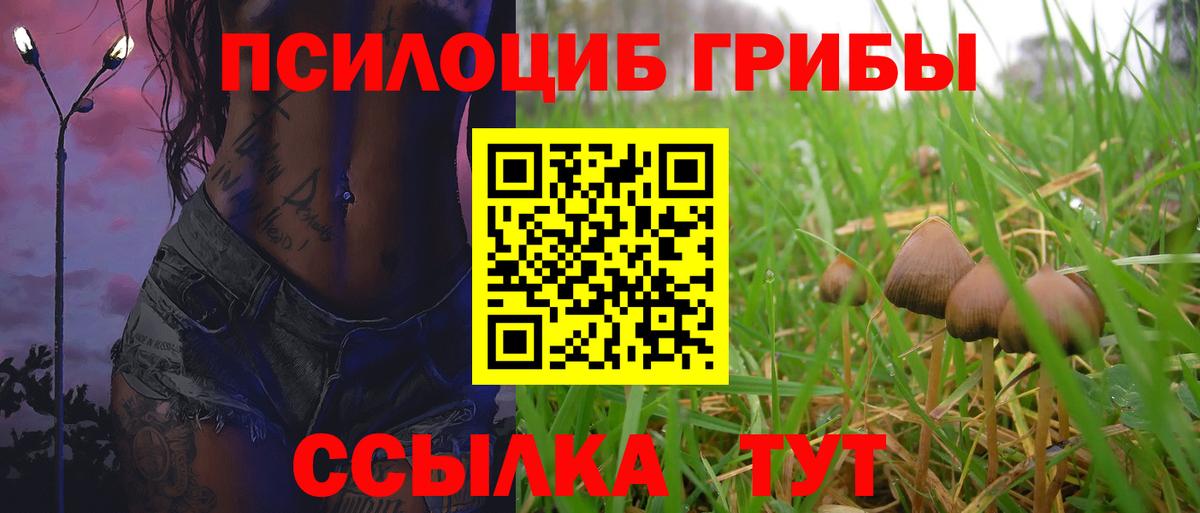 Галлюциногенные грибы MAGIC MUSHROOMS  Вход с VPN  Кингисепп 